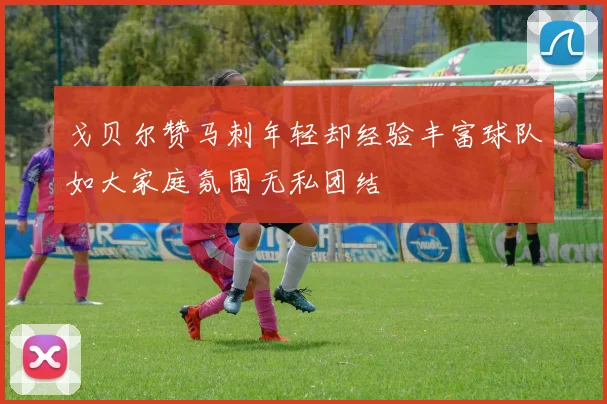 戈贝尔赞马刺年轻却经验丰富球队如大家庭氛围无私团结