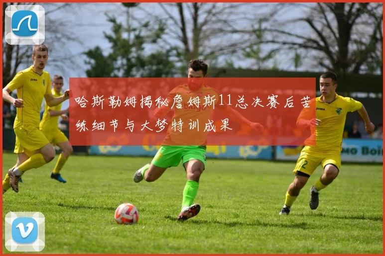 哈斯勒姆揭秘詹姆斯11总决赛后苦练细节与大梦特训成果